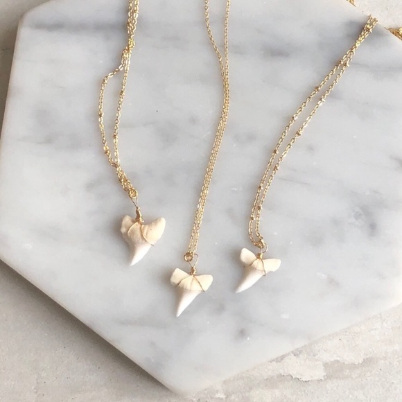 ❗️LAST❗️Dainty Shark Tooth Necklace - Picture 5 of 6
